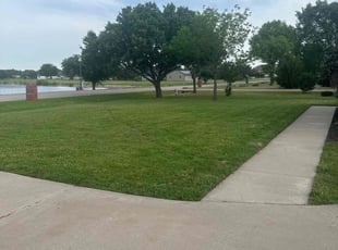 Carl S.'s turf care service result