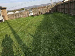 Randall M.'s lawn care services service result