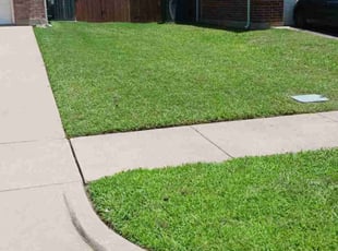 Sally P.'s lawn care services service result