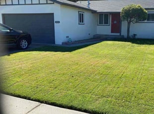 Karen K.'s Long Grass Cleanup service result