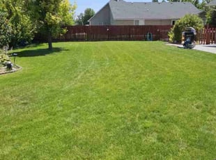 Patricia C.'s lawn service service result