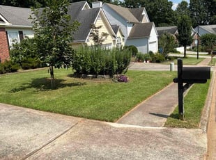 Cory O.'s lawn maintenance service result