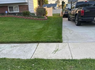 Elisus E.'s lawn maintenance service result