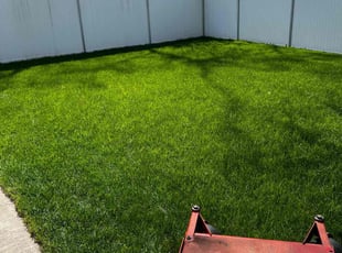 Alexia J.'s turf maintenance service result