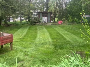 Juan M.'s grass cutting service result