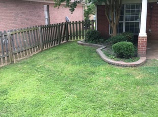 Joanne N.'s Bush Trimming service result