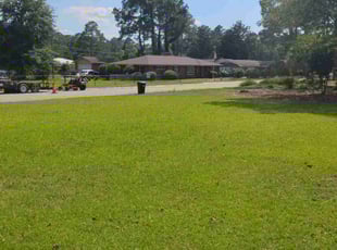 Adam B.'s turf care service result