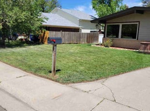 Racila W.'s lawn maintenance service result