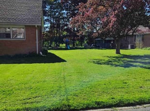 Shelice S.'s grass maintenance service result