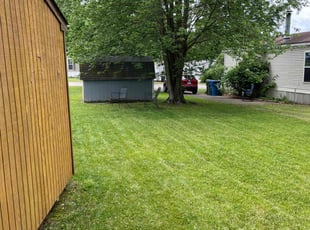 Dawna L.'s grass cutting service result