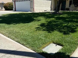 Mark S.'s turf care service result