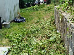 Tiffiny H.'s Bush Trimming service result