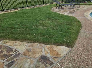 Michelle L.'s lawn care services service result