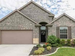 Paloma W.'s lawn care services service result