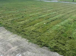 Leonard L.'s turf maintenance service result