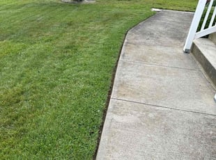 Peter O.'s grass cutting service result