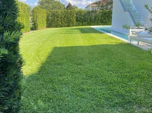 Donald C.'s turf care service result