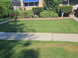 Mary S.'s lawn care service result