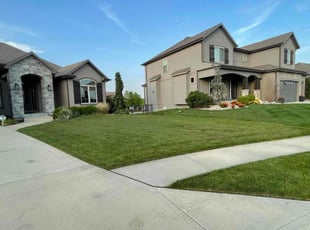 Sheryl F.'s grass maintenance service result