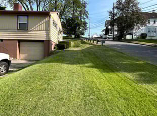 Mary K.'s lawn service service result