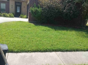 Ana C.'s lawn care services service result