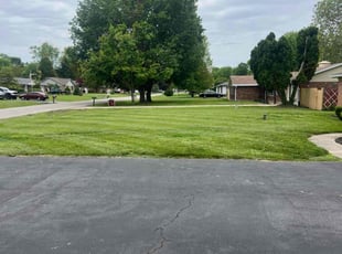 Alexander A.'s turf maintenance service result