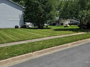 Angela S.'s lawn maintenance service result