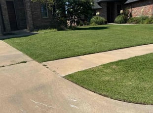 Wayne C.'s lawn maintenance service result