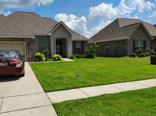 Theo C.'s lawn service service result