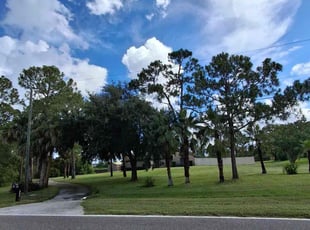 James B.'s grass cutting service result