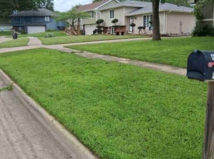 Auty H.'s lawn service service result