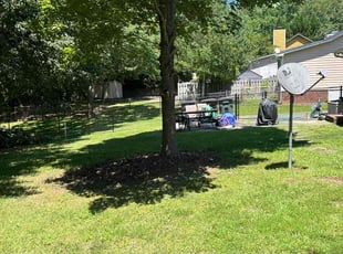 Nadene J.'s turf care service result