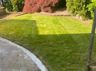 Maria J.'s grass cutting service result