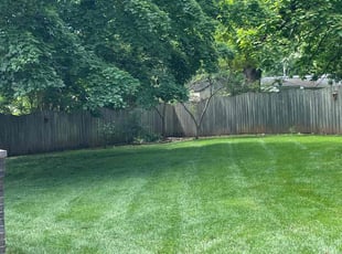 Chrystine A.'s lawn care service result