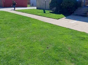 Ricquel P.'s lawn care service result