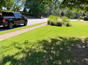 Edward O.'s yard work service result