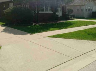 Elena G.'s turf maintenance service result