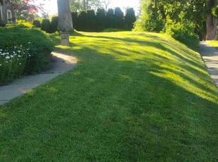 Olga A.'s lawn care services service result