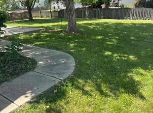 Sandra A.'s lawn service service result
