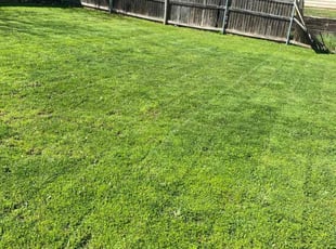 Christian K.'s turf maintenance service result