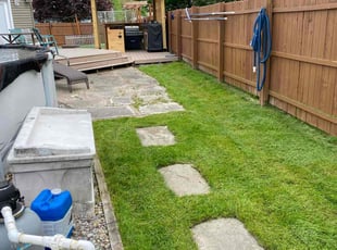 Kevin K.'s turf care service result