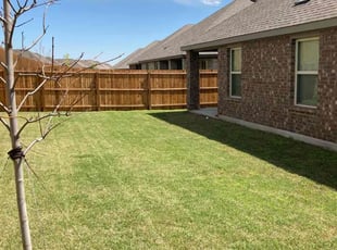 Takisha M.'s grass maintenance service result