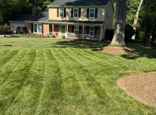 Nancy M.'s lawn service service result