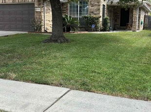 Lc S.'s turf maintenance service result