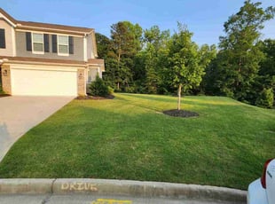 Nikki E.'s grass maintenance service result