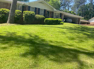 Joshua B.'s lawn maintenance service result