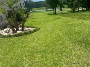 Anna S.'s lawn maintenance service result