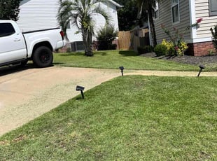 Susan O.'s turf care service result