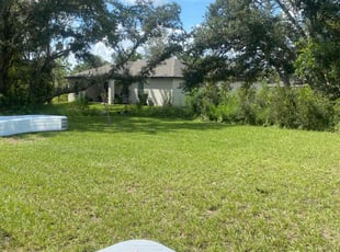 Shana W.'s grass maintenance service result