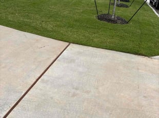 David D.'s lawn service service result